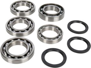 12050210 Bearing/Seal Kit differential voor grizzly 550/700